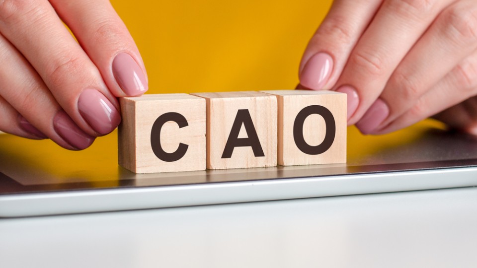 Vakbonden Snel Nieuwe Cao Rijksambtenaren vakbonden-snel-nieuwe-cao-rijksambtenaren